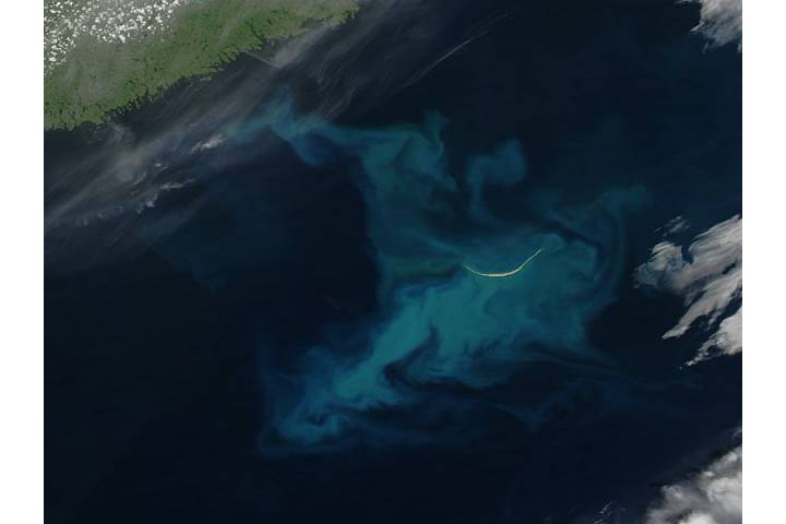 Phytoplankton bloom around Sable Island, Nova Scotia - selected image