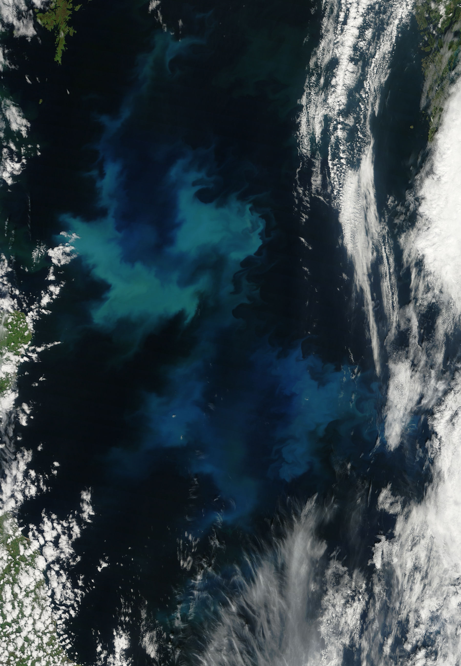 Phytoplankton bloom in the North Sea - related imagethumbnail