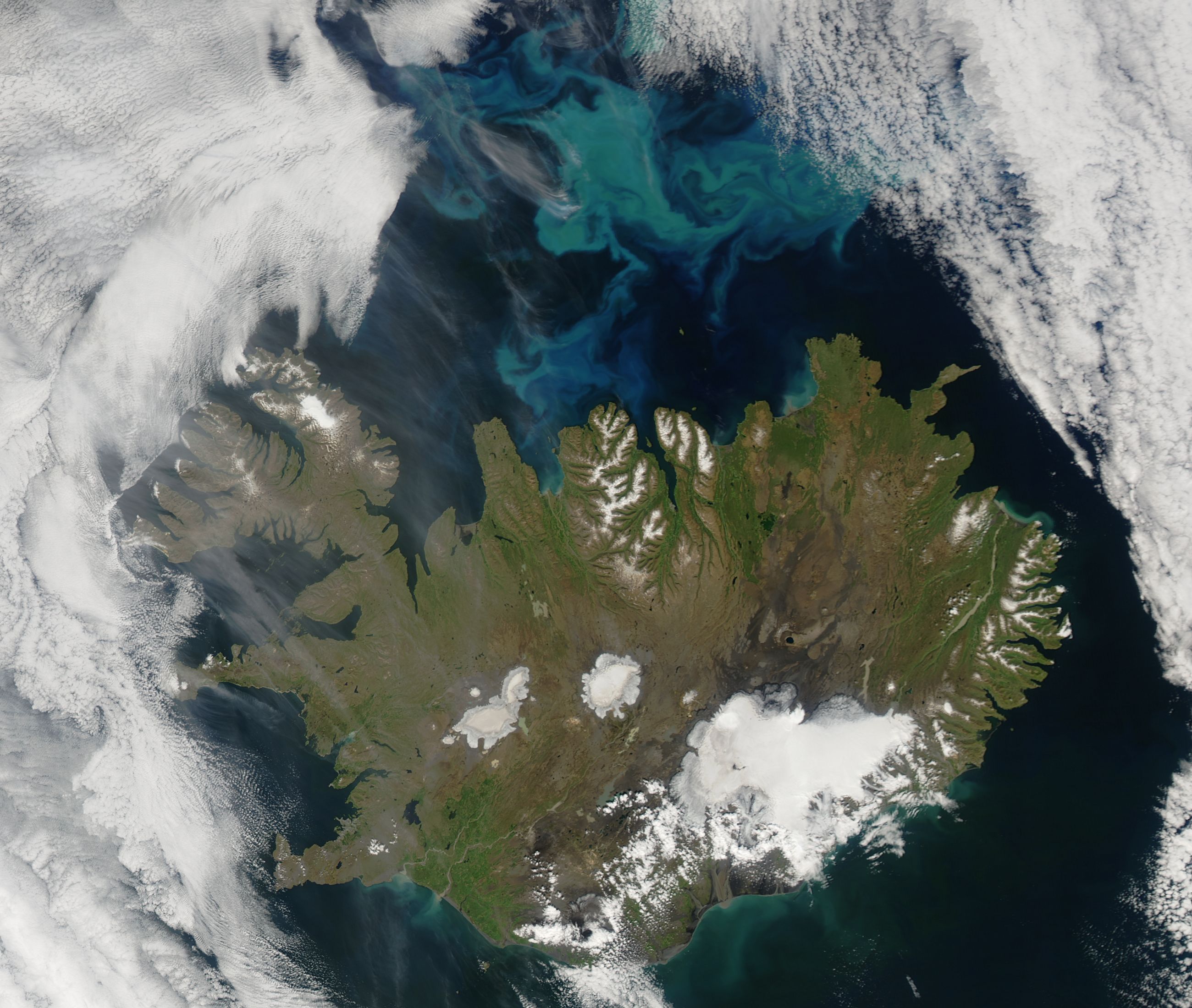 Phytoplankton bloom off northern Iceland - related image preview