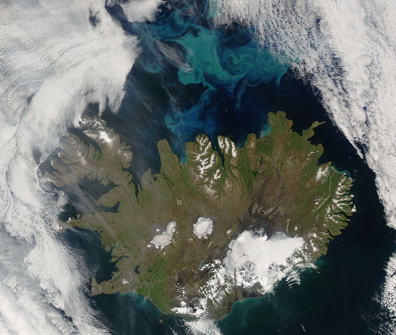 Phytoplankton bloom off northern Iceland - related image preview