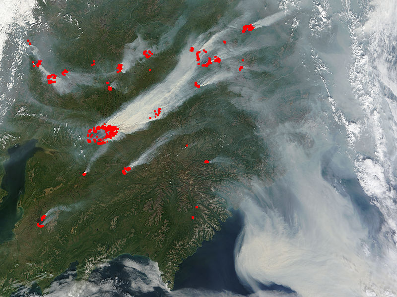 Fires and smoke in eastern Siberia - image thumbnail