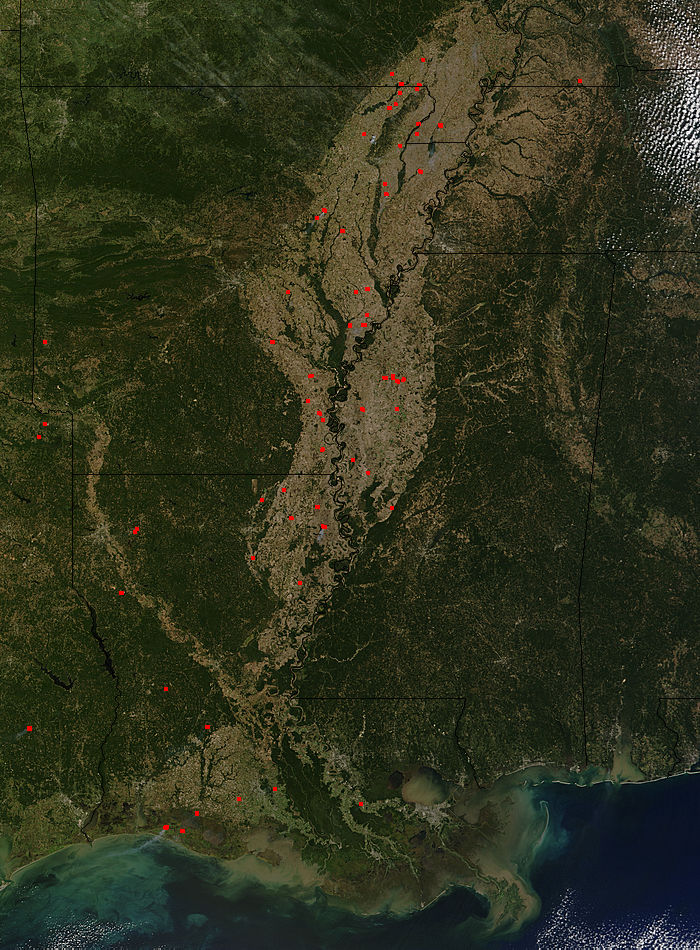 Fires in the lower Mississippi Valley - related image preview