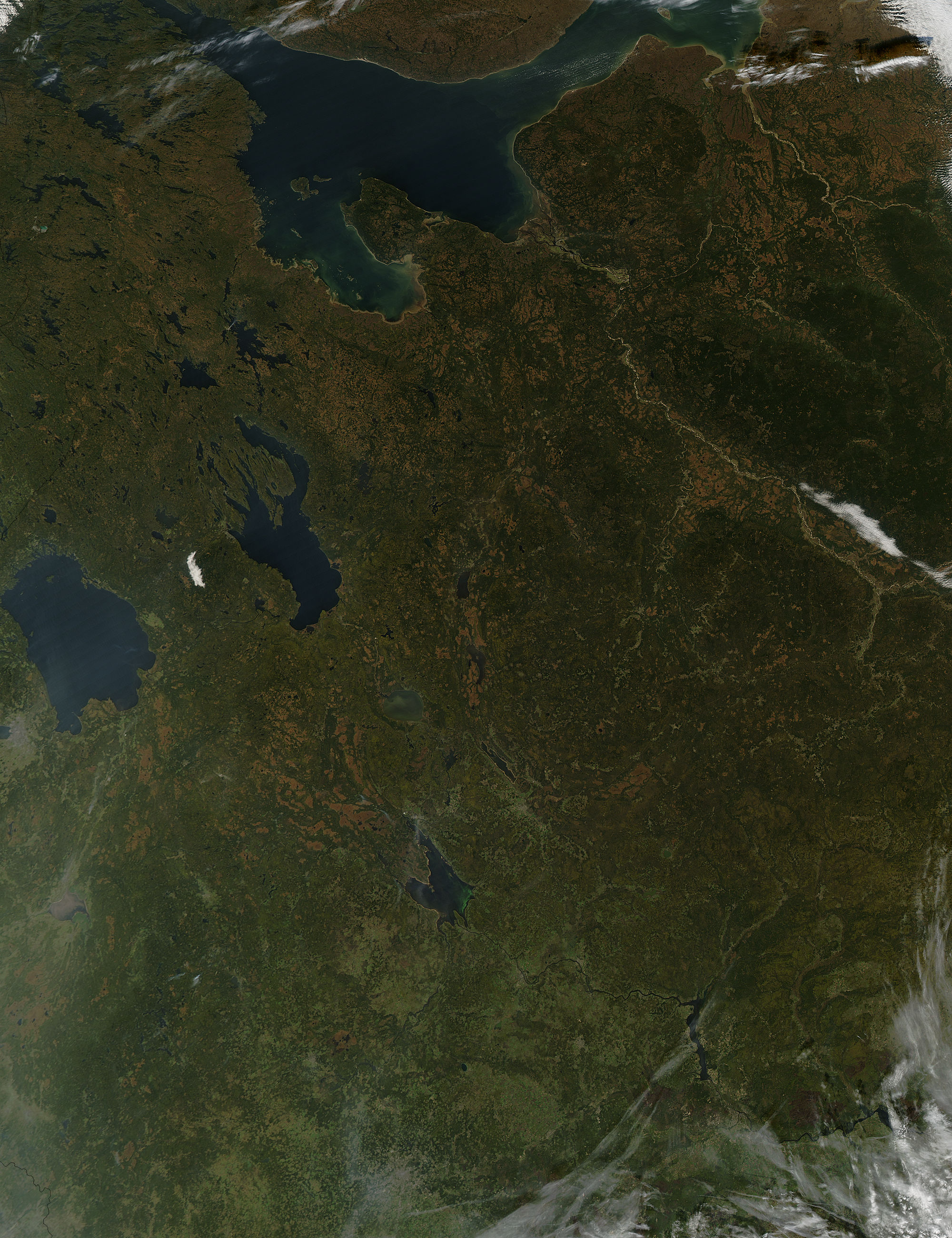 Fall colors in northwestern Russia - related image preview