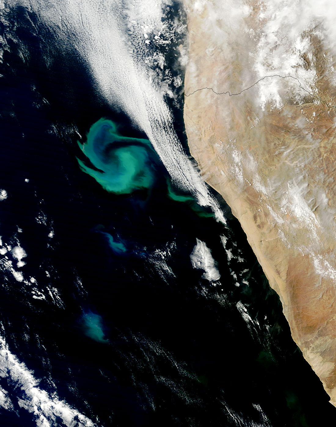 Phytoplankton bloom off the coast of Namibia - related image preview