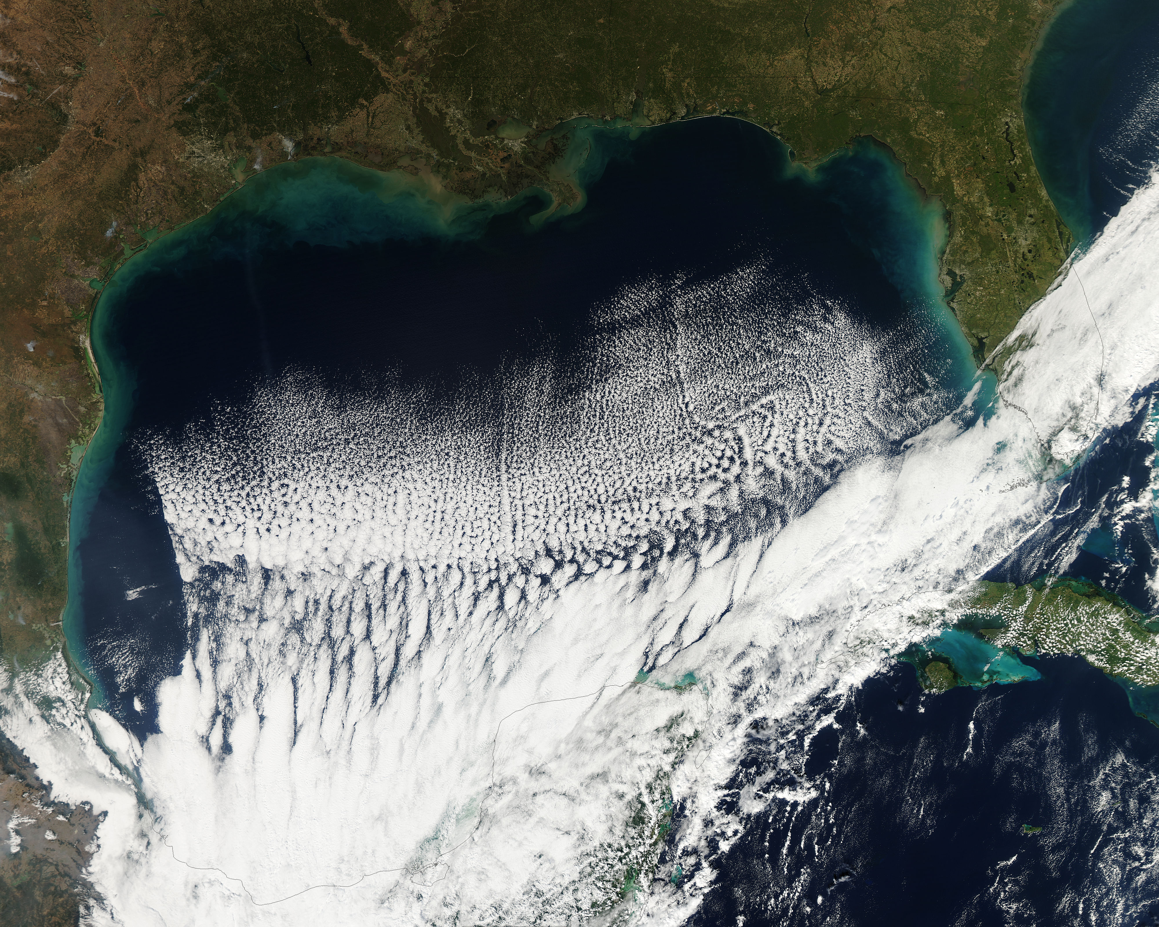 Cloud streets in the Gulf of Mexico