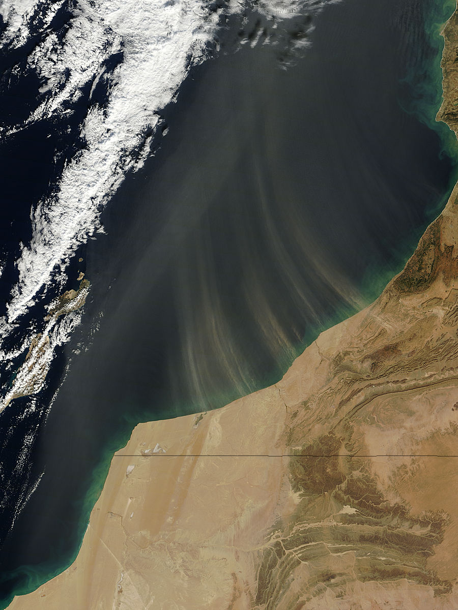 Dust storm off Morocco - related image preview