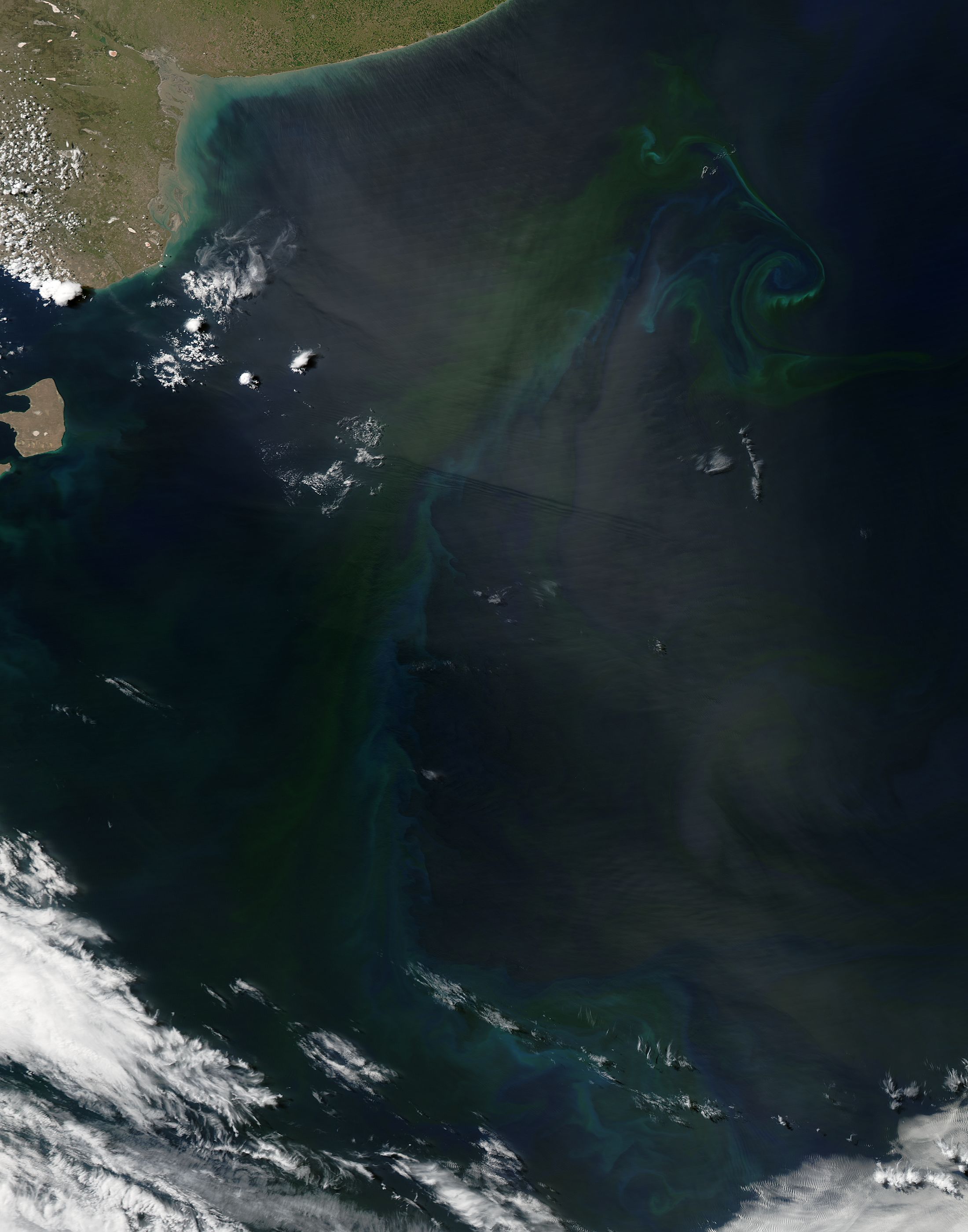 Phytoplankton bloom off Argentina - related image preview