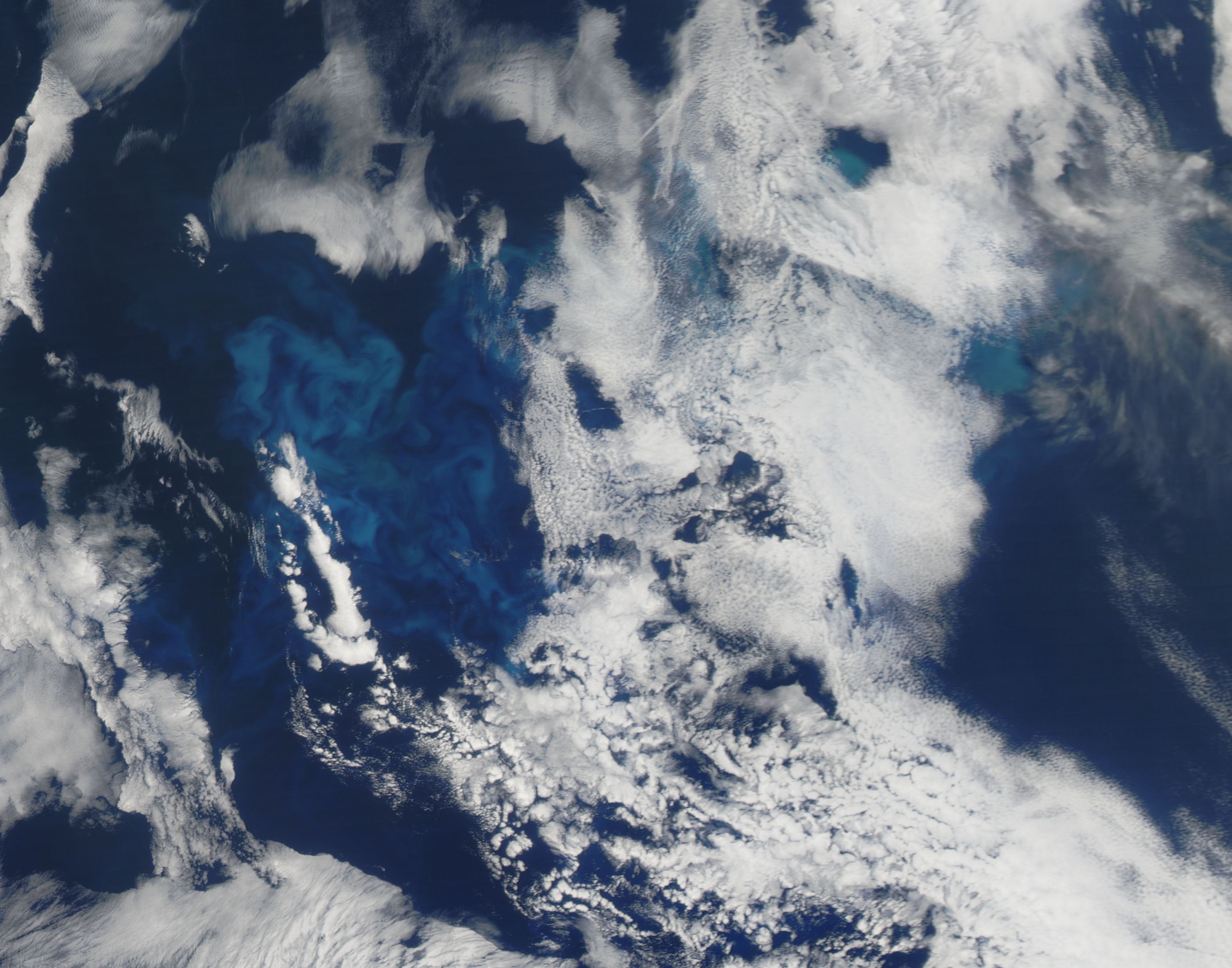 Phytoplankton bloom in the northern Pacific Ocean - related image preview