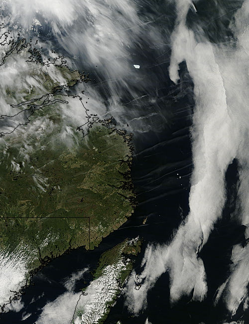 Iceberg PII-A off the coast of Newfoundland - related image preview