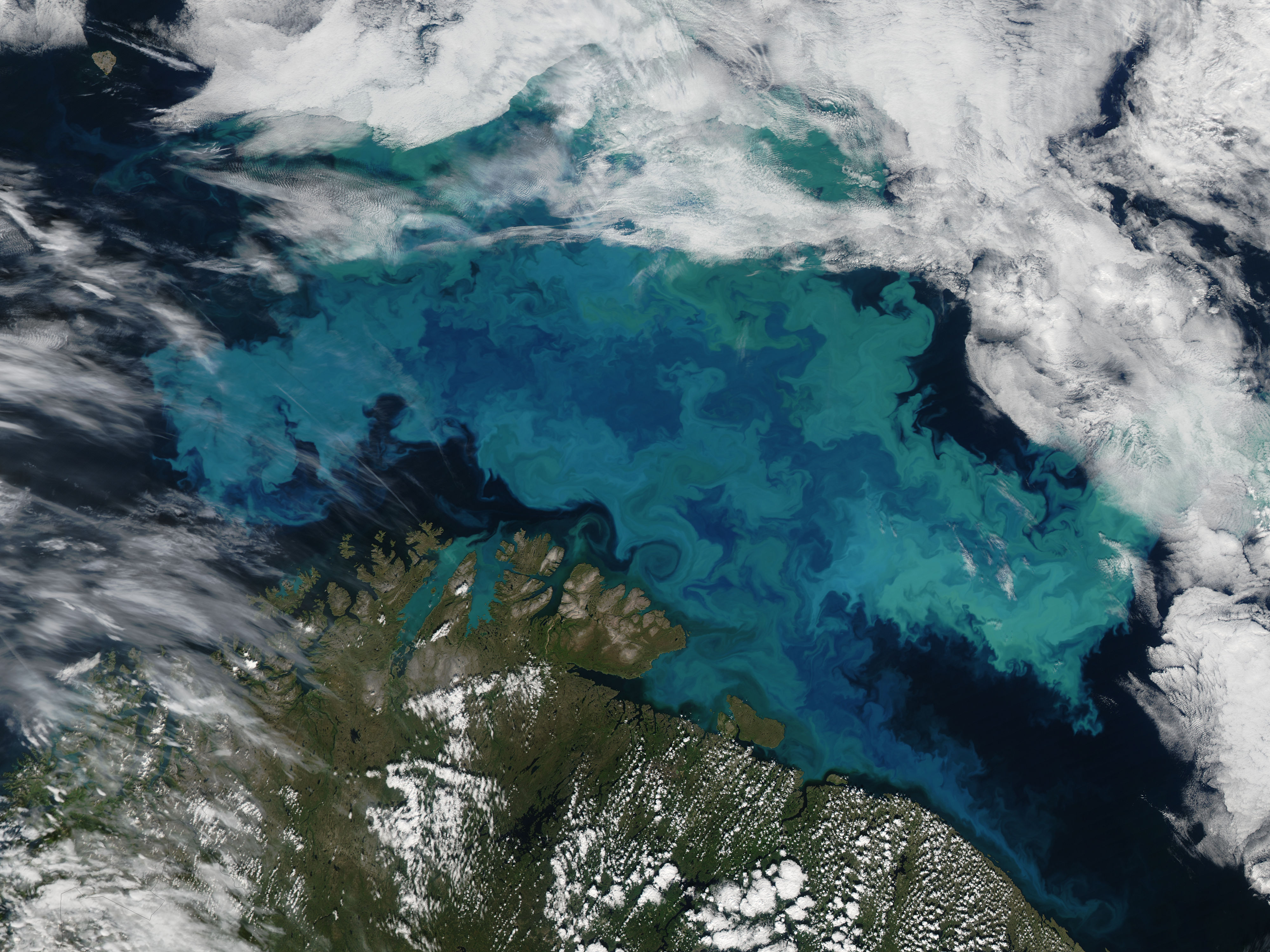 Phytoplankton bloom in the Barents Sea - related image preview