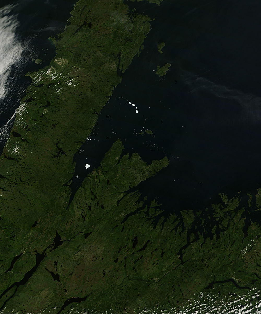 Fragments of Iceberg PII-A in White Bay, Newfoundland - related image preview