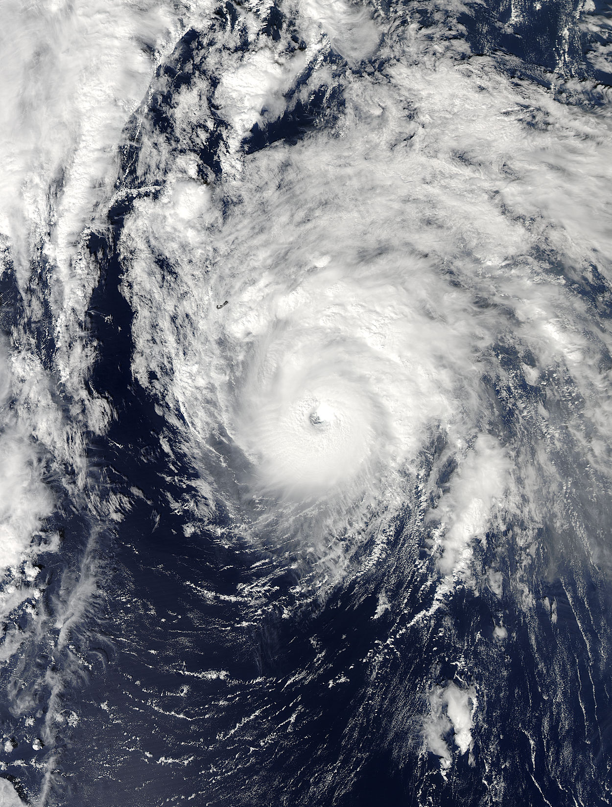 Hurricane Ophelia (16L) in the Atlantic Ocean - related image preview