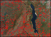 Fires in Southeastern Africa