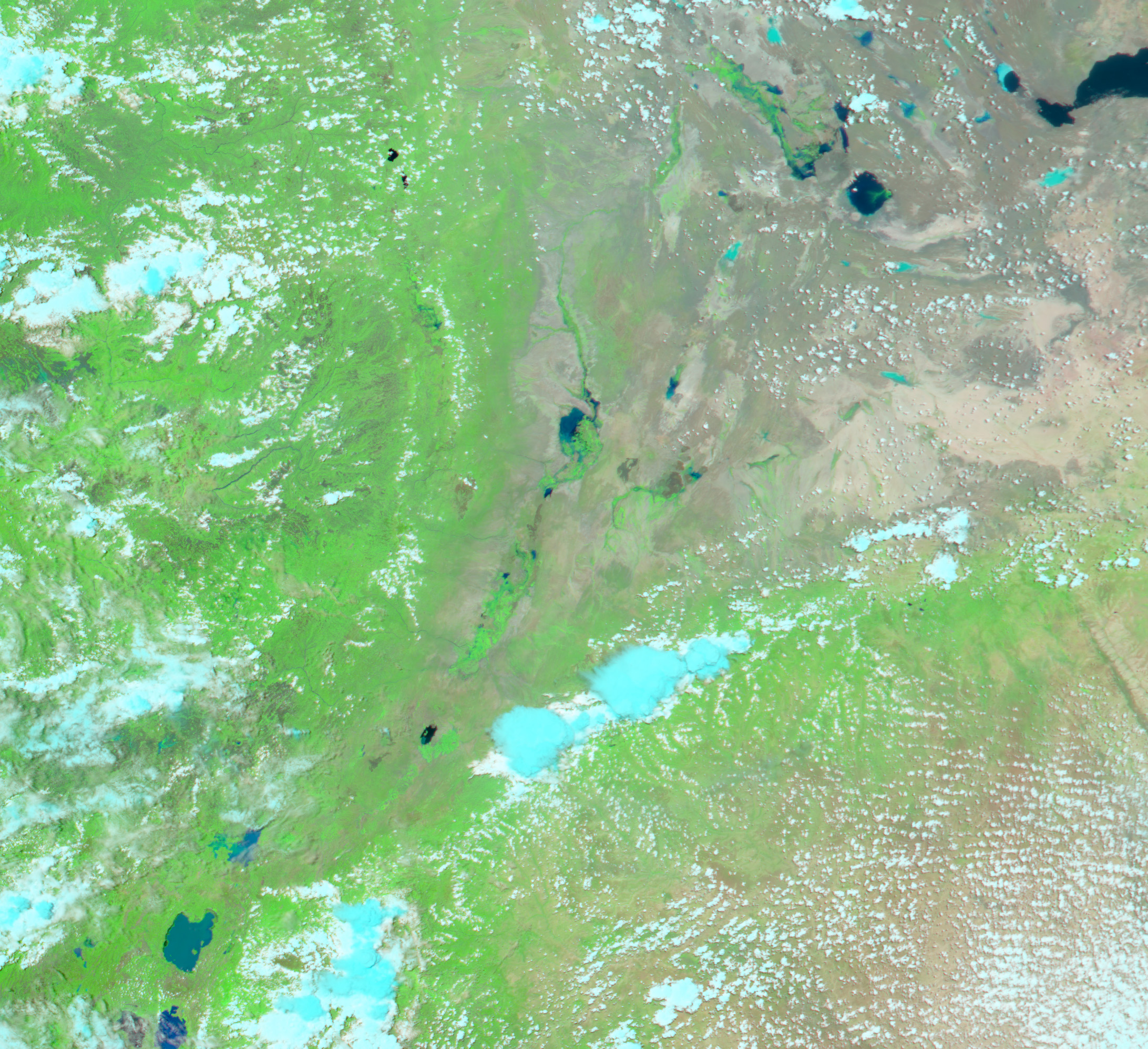 Flooding along the Awash River in Ethiopia - related image preview