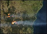Fires in Eastern Australia