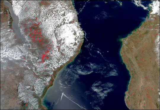 Fires in Southeast Africa and Madagascar