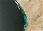 Sulfur Plume along Namibian Coast