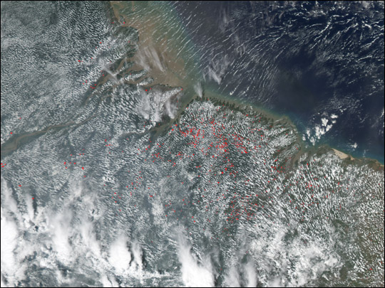 Fires Near the Mouth of the Amazon