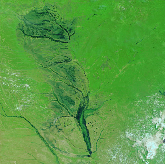Seasonal floods along the Zambezi River