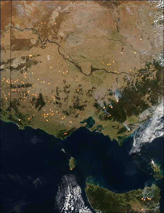 Fires in Southeast Australia - related image preview