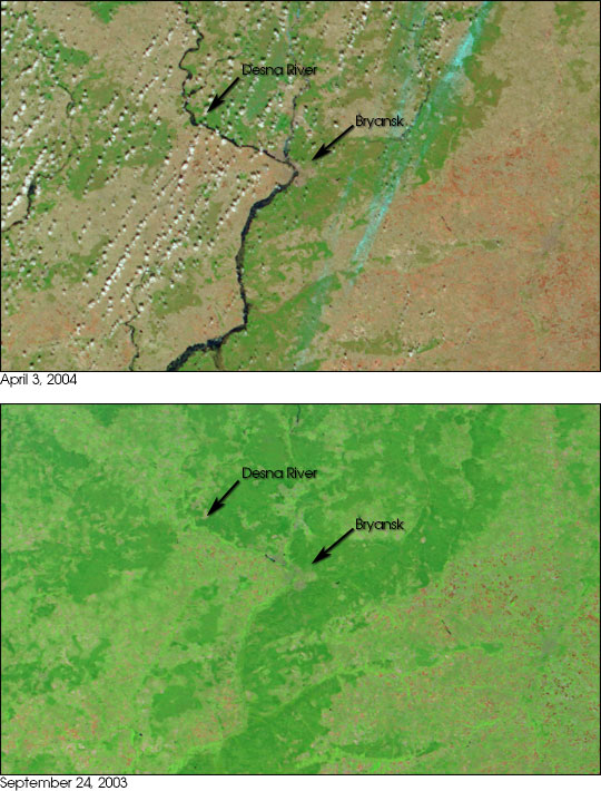 Flooding in Western Russia - related image preview