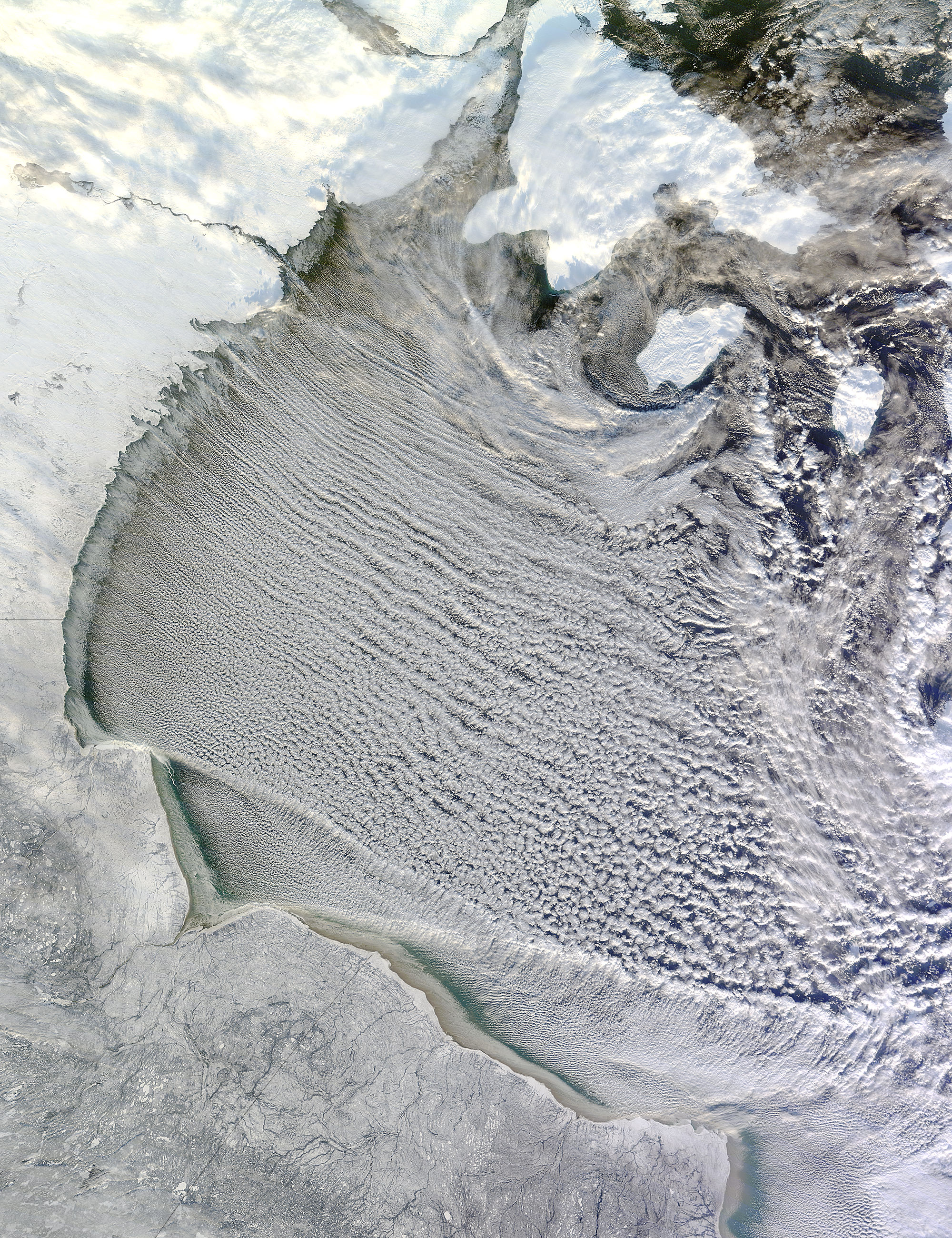 Cloud streets in Hudson Bay - related image preview