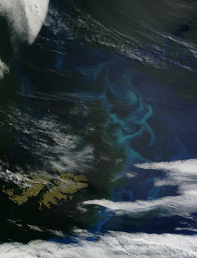 Phytoplankton bloom near Falkland Islands, South Atlantic - related image preview