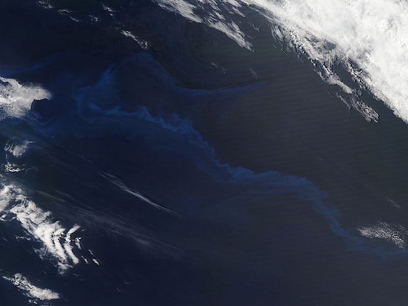 Phytoplankton bloom in southwest Indian Ocean - related image preview