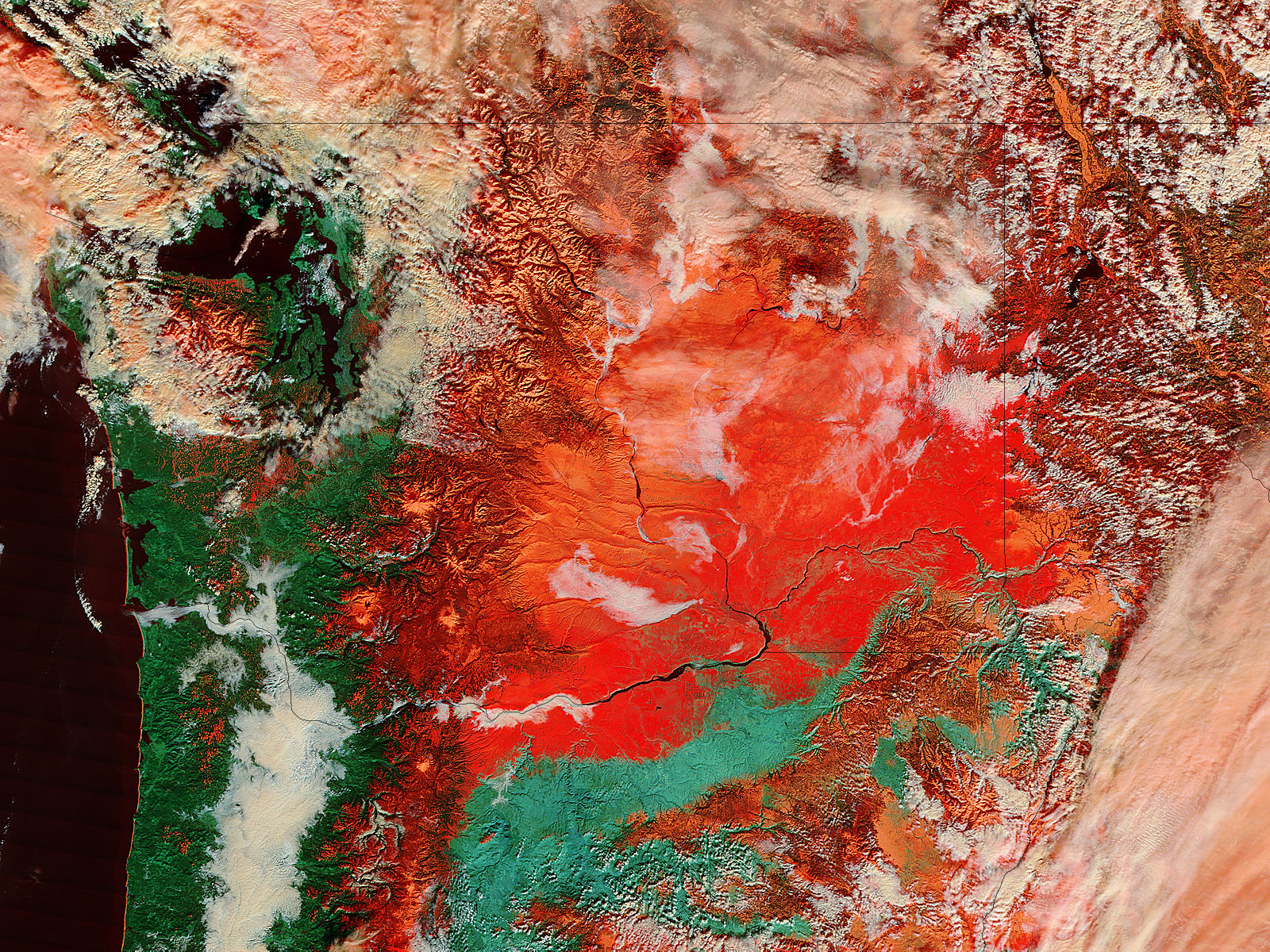 Snow in the Pacific Northwest (false color) - related image preview