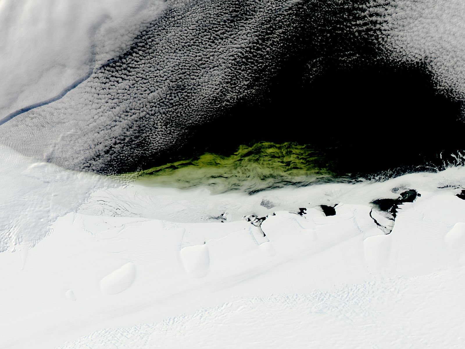 Phytoplankton bloom along the Princess Astrid Coast, Antarctica - related image preview