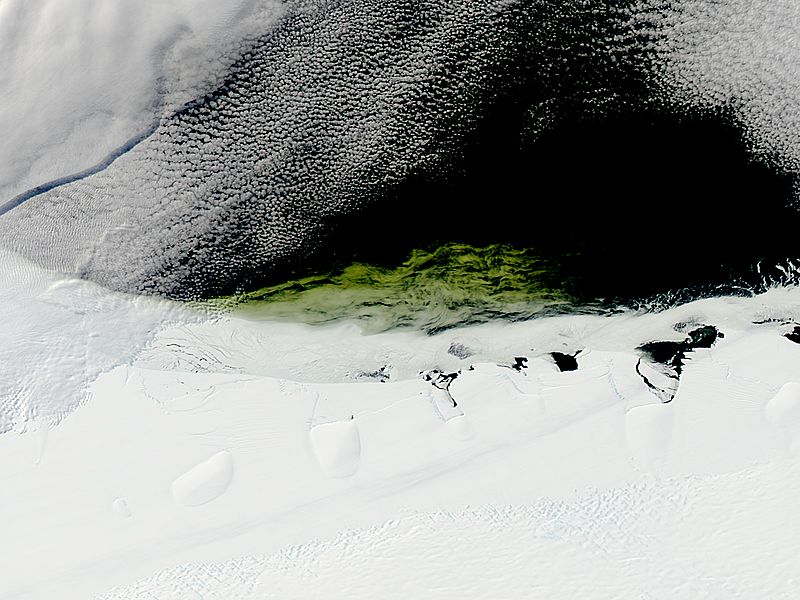 Phytoplankton bloom along the Princess Astrid Coast, Antarctica - related image preview
