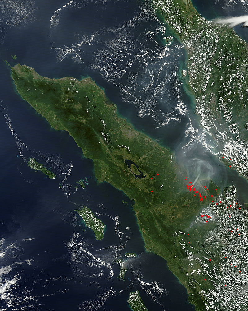 Fires in northern Sumatra, Indonesia (morning overpass) - related image preview
