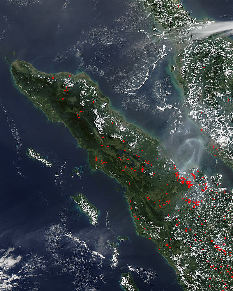 Fires in northern Sumatra, Indonesia (afternoon overpass) - related image preview