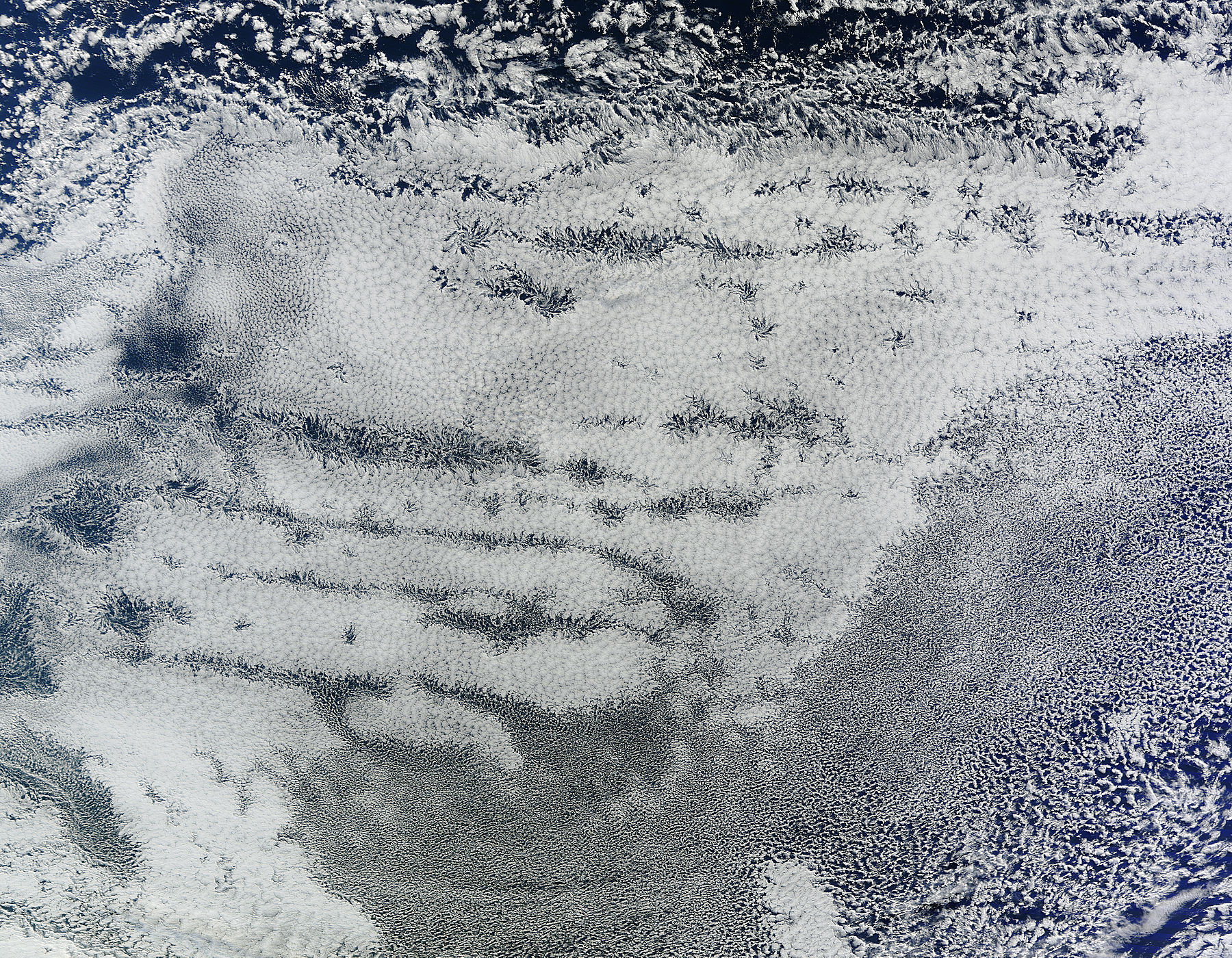 Open-cell and closed-cell clouds, South Pacific Ocean - related image preview