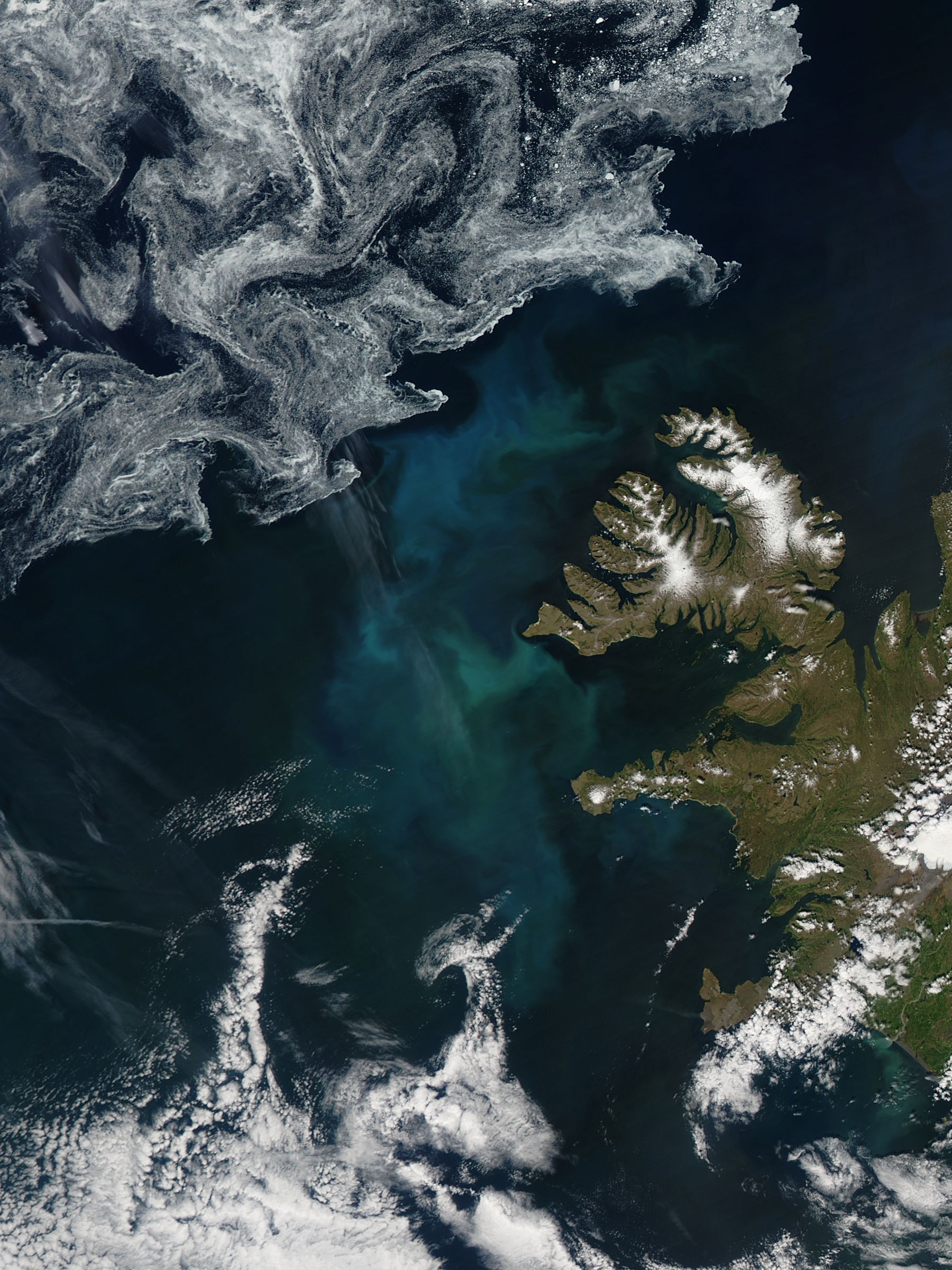 Phytoplankton bloom off Iceland - related image preview