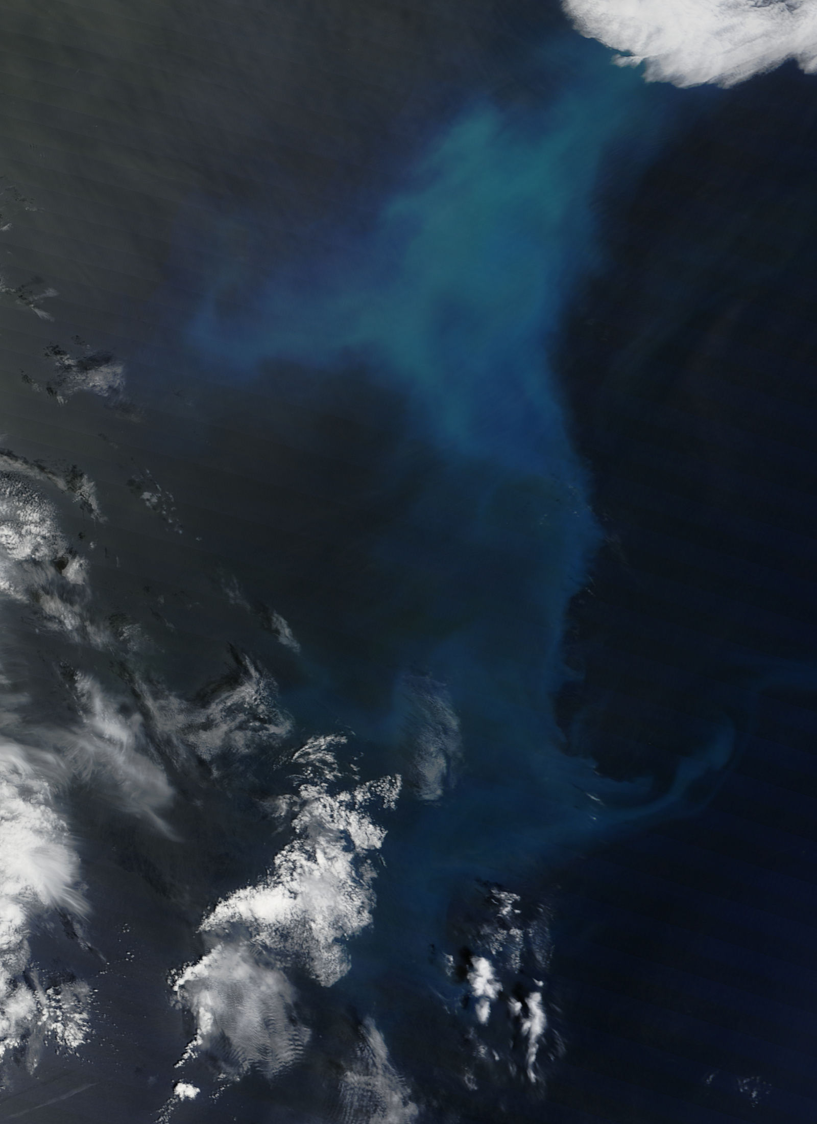 Phytoplankton bloom off Newfoundland - related image preview