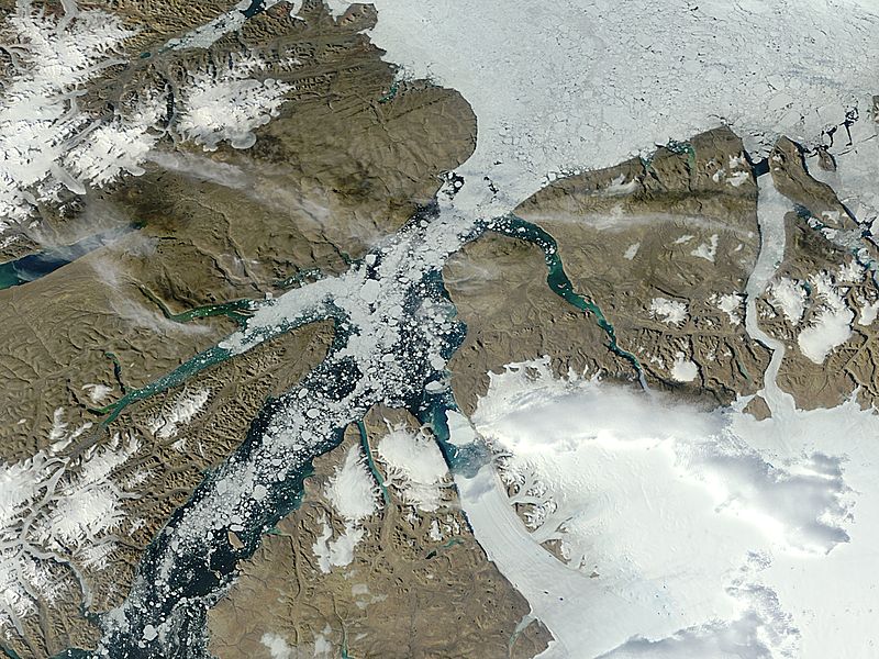 Iceberg from Petermann Glacier, northern Greenland - related image preview