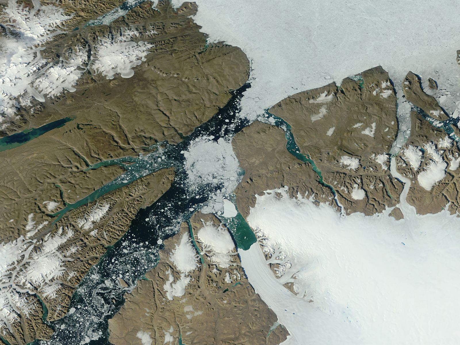 Iceberg from Petermann Glacier, northern Greenland - related image preview