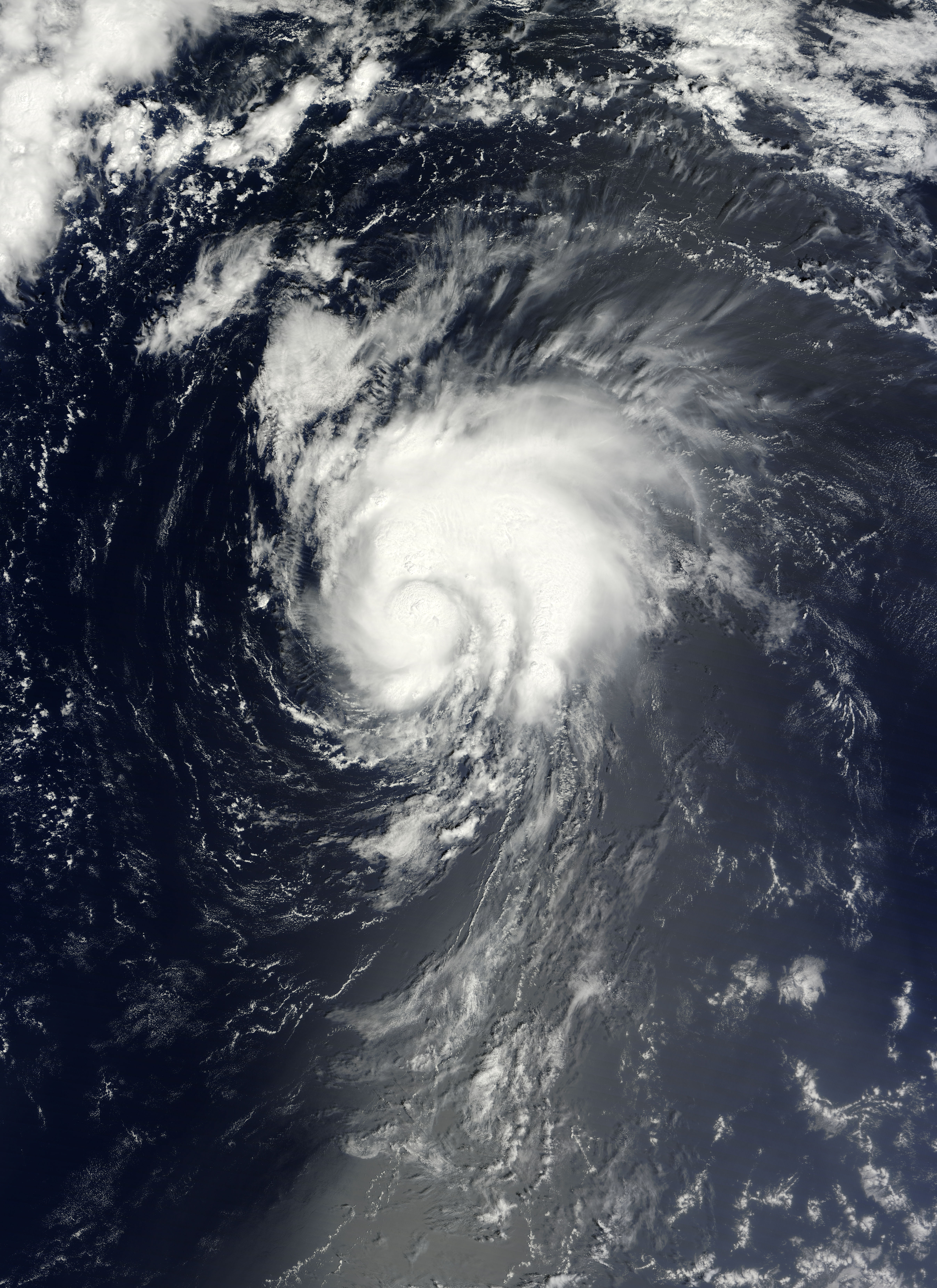 Tropical Storm Gordon (08L) in the North Atlantic Ocean - related image preview