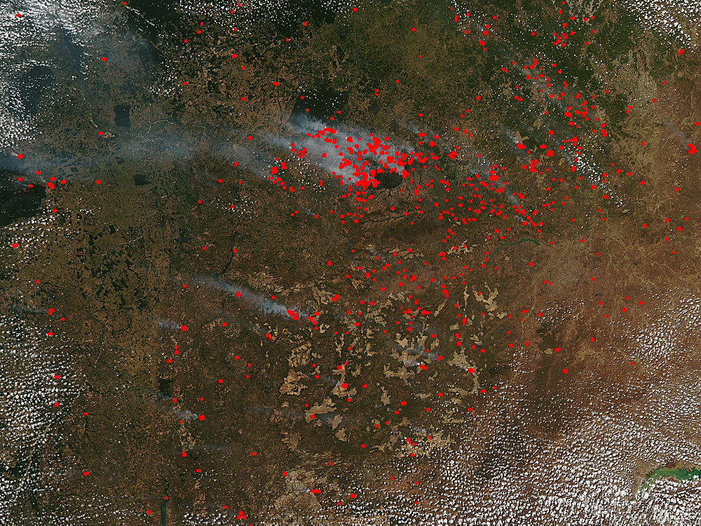 Fires in eastern Brazil - related image preview