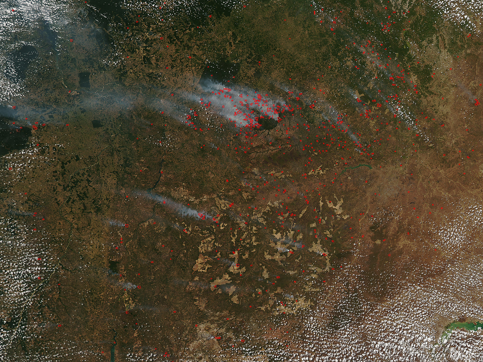 Fires in eastern Brazil - related image preview