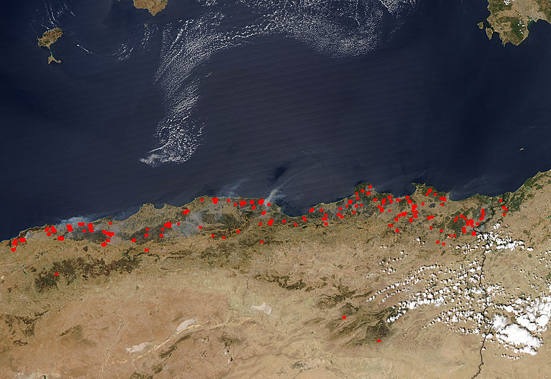 Fires in Algeria - related image preview
