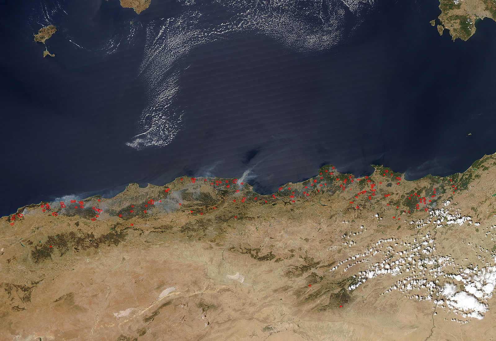 Fires in Algeria - related image preview