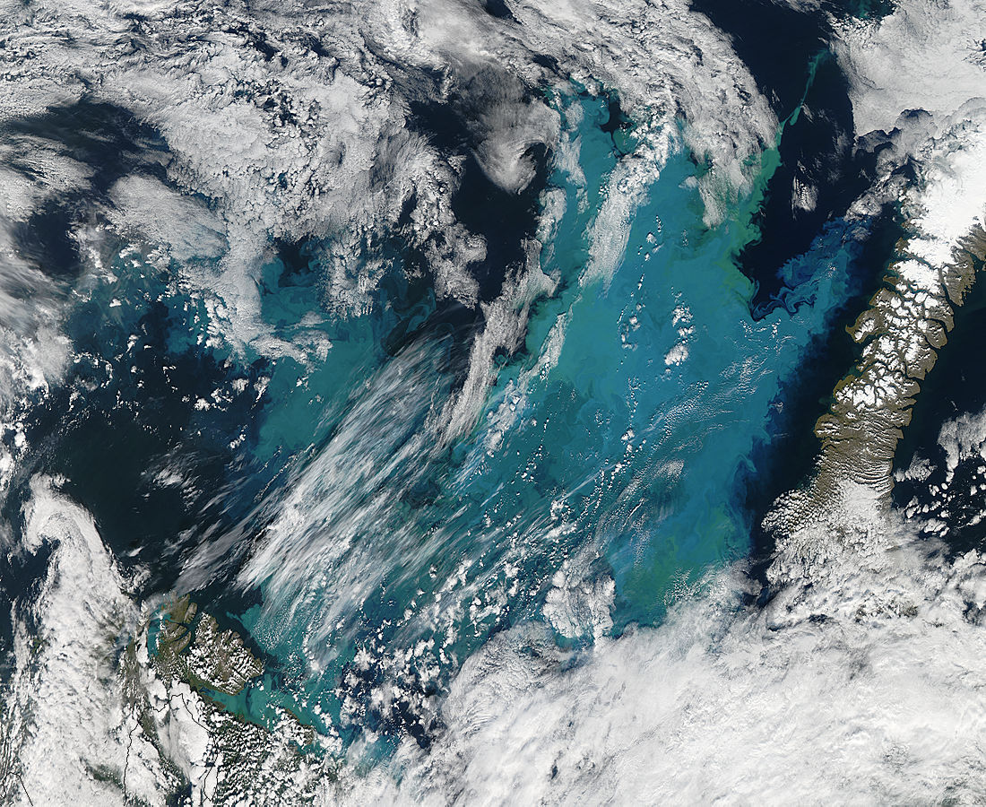 Phytoplankton bloom in the Barents Sea - related image preview