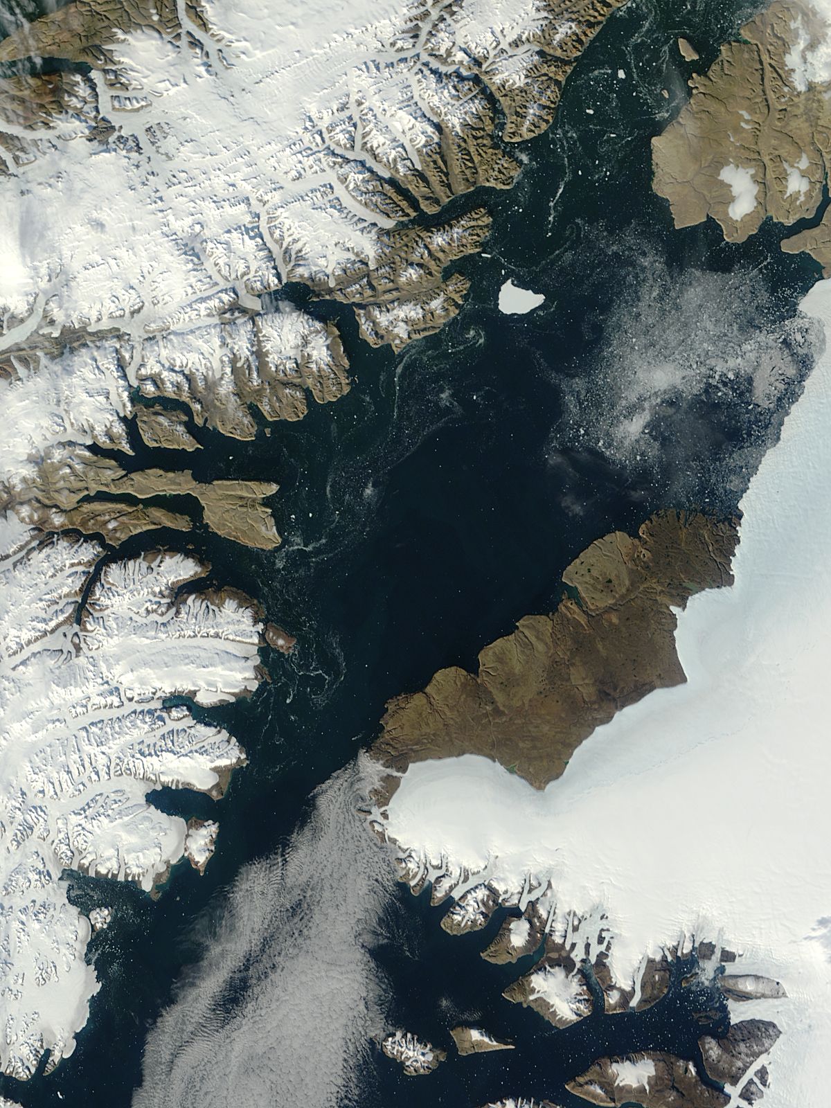 Iceberg from Petermann Glacier, northern Greenland - related image preview