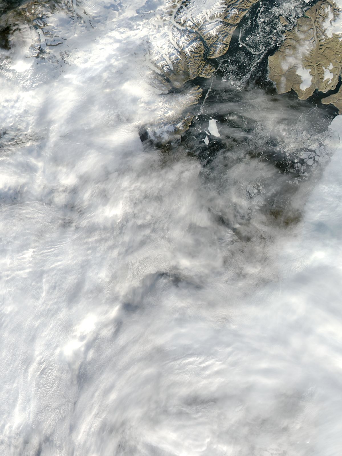 Iceberg from Petermann Glacier, northern Greenland - related image preview