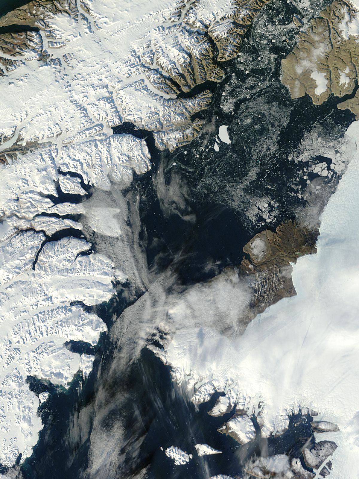 Iceberg from Petermann Glacier, northern Greenland - related image preview