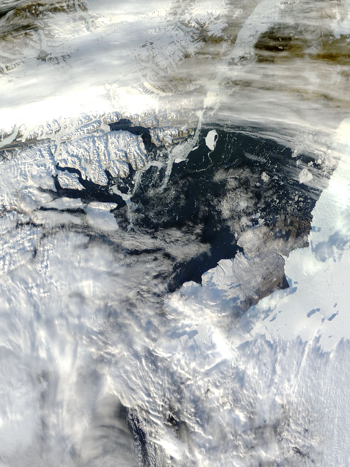 Iceberg from Petermann Glacier, northern Greenland - related image preview