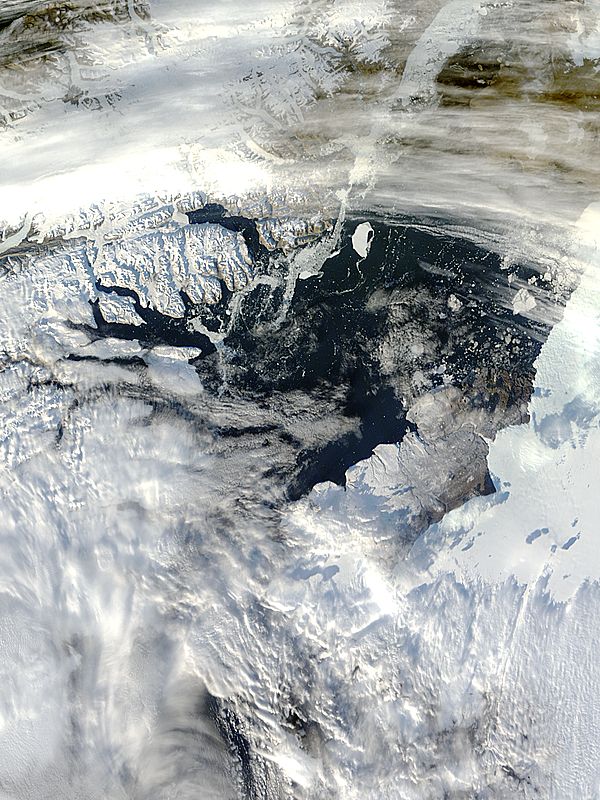 Iceberg from Petermann Glacier, northern Greenland - related image preview