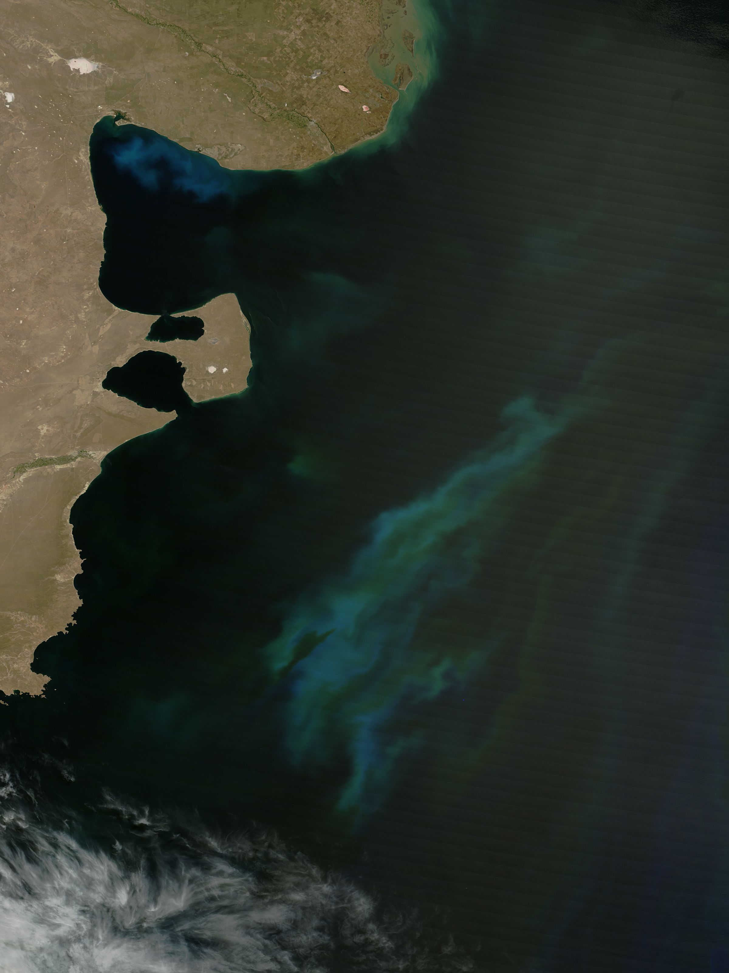 Phytoplankton blooms off Argentina - related image preview